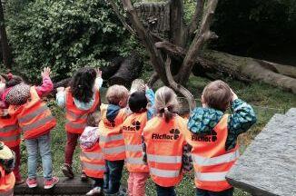 Gruppe von Kindern in leuchtenden Westen, die an einem Gehege stehen und in den Tierpark schauen.