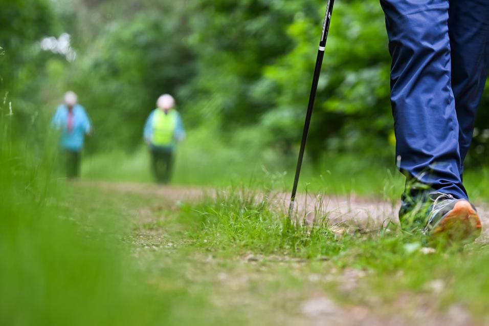 Nahaufnahme eines wandernden Fußes mit Trekkingstock auf einem schmalen Weg, im Hintergrund zwei weitere Personen.