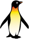 Pinguin.jpg