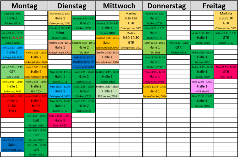 Snip Rehaplan 9.22 I.PNG
